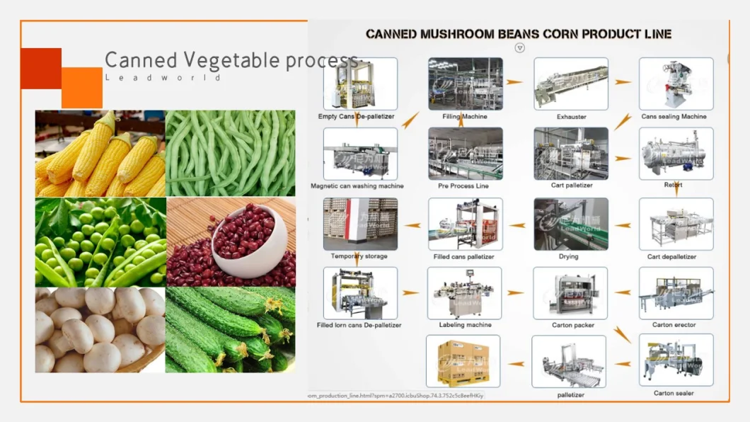 Mushroom, Straw Mushroom, White Mushroom, Green Mushroom, Sea Mushroom, Apricot Mushroom Canned Production Line for Macking Canned Food